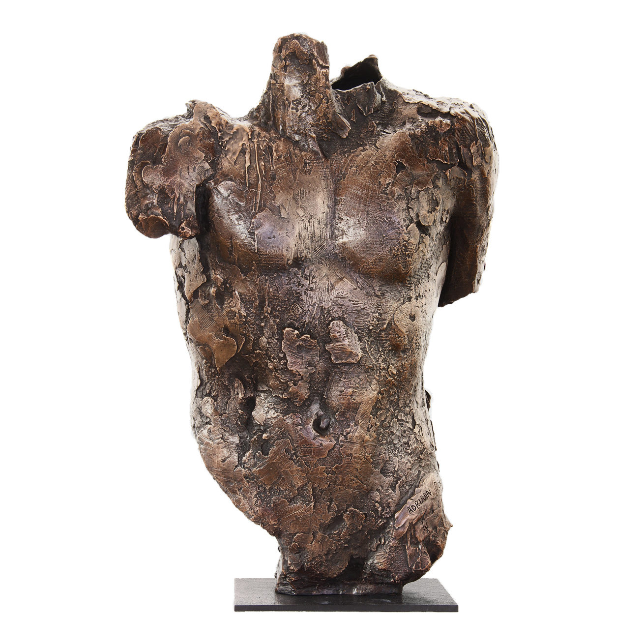 ED_torso-I_1