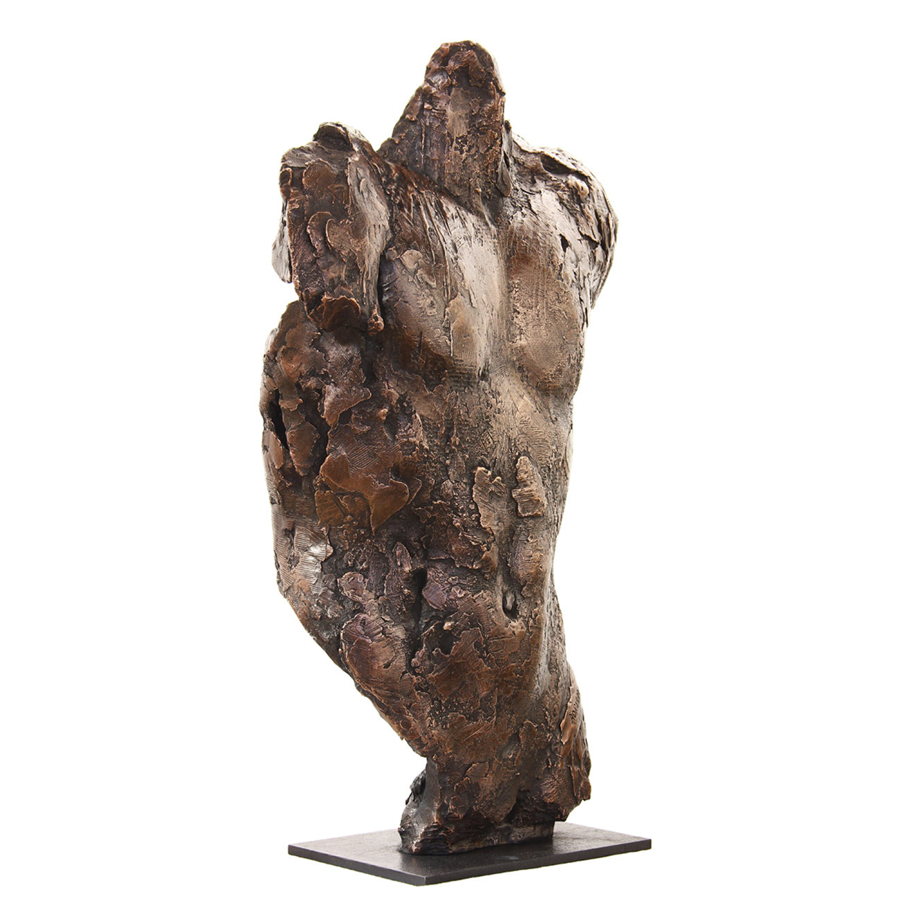 ED_torso-I_2