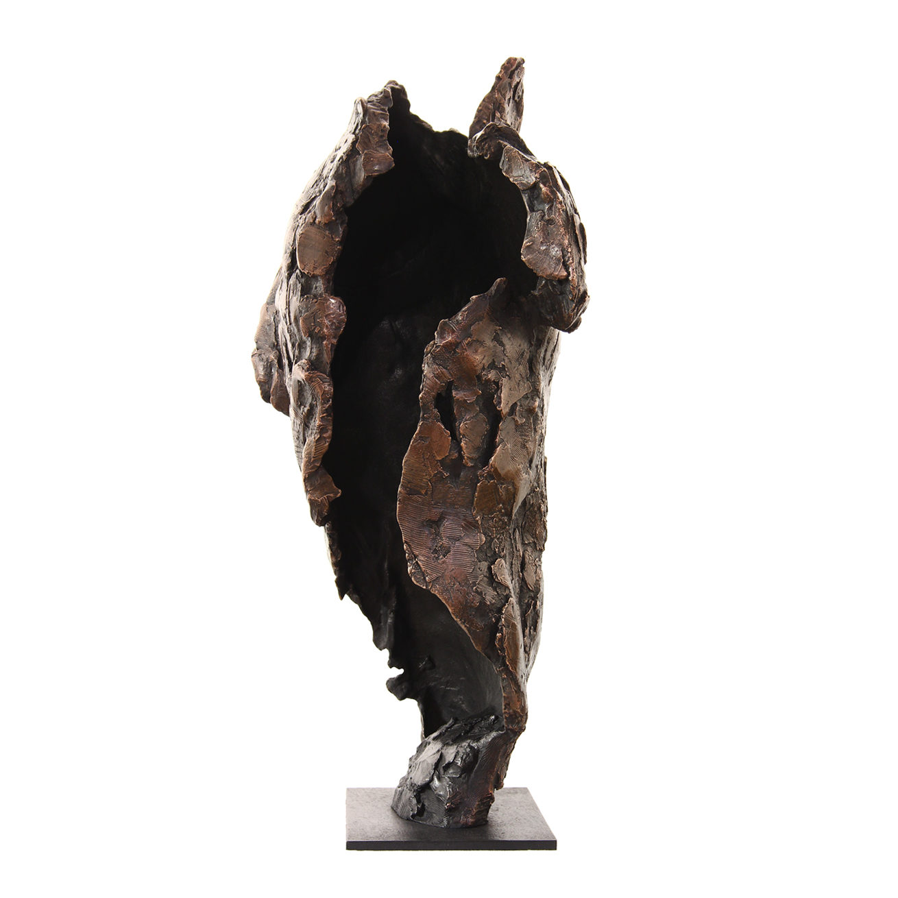 ED_torso-I_3