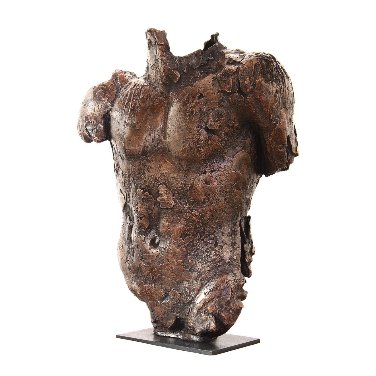 ED_torso-I_8
