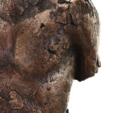 ED_torso-I_9